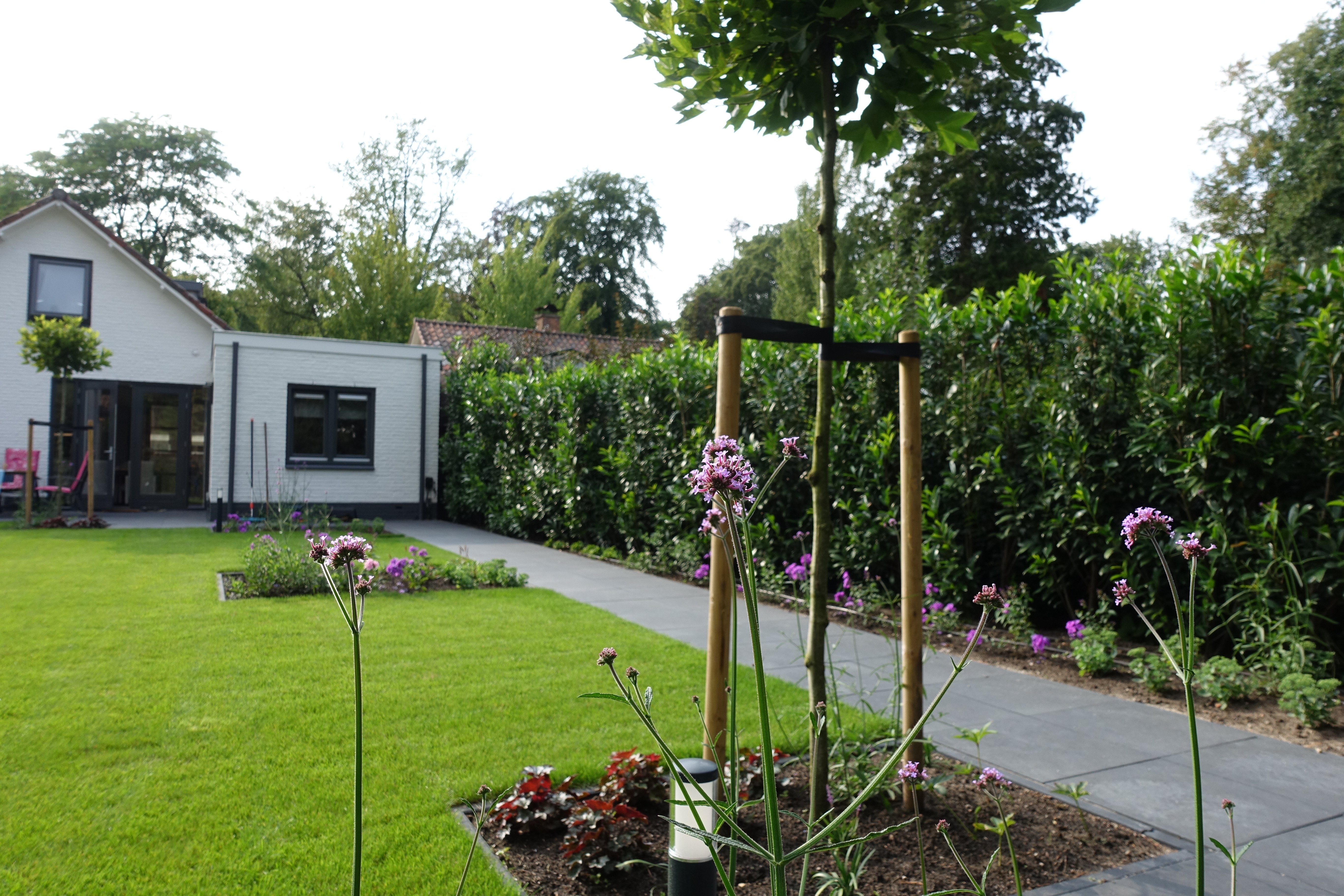 Achtertuin
